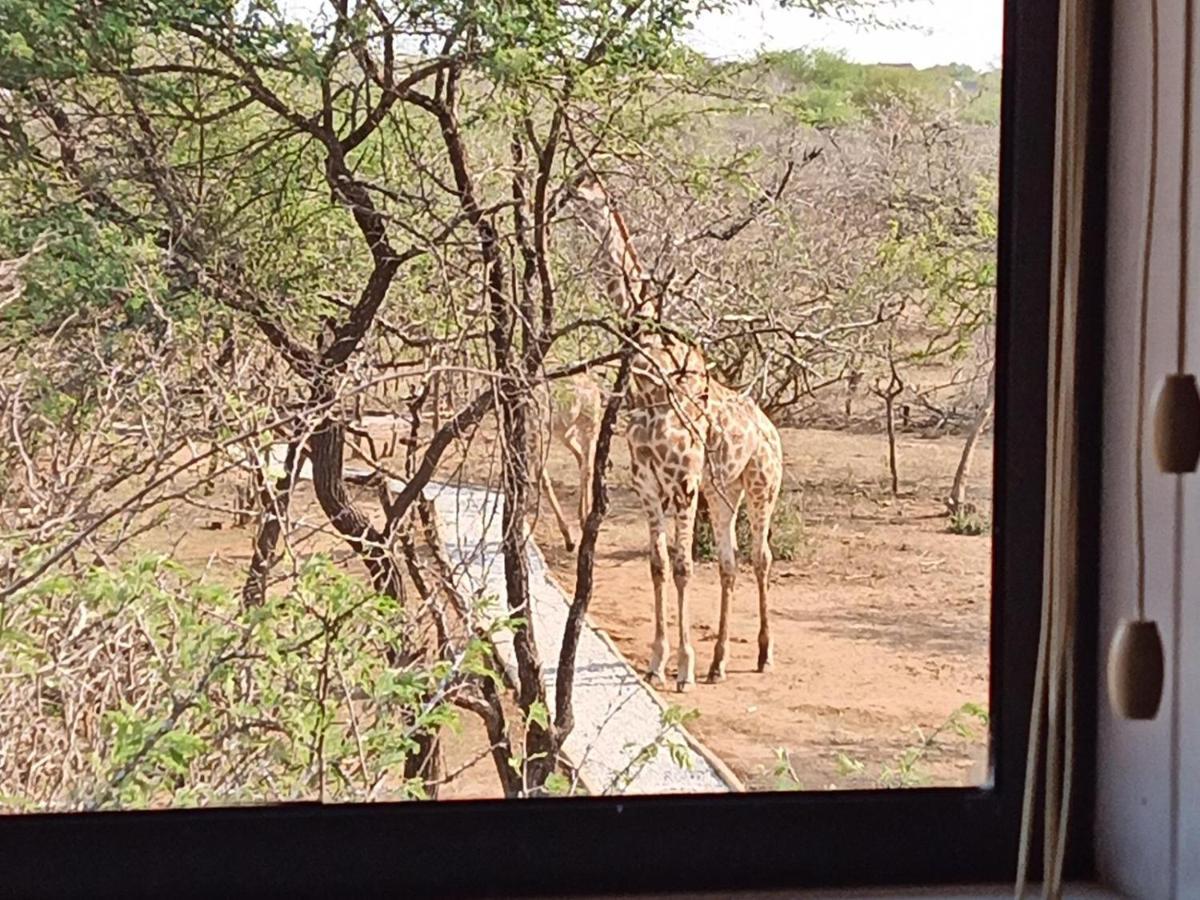 شقة Marloth Kruger View مارلوث بارك المظهر الخارجي الصورة