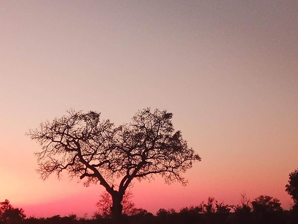 شقة Marloth Kruger View مارلوث بارك المظهر الخارجي الصورة