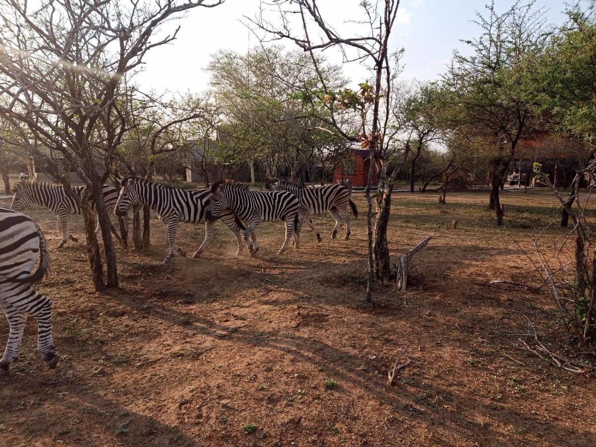 شقة Marloth Kruger View مارلوث بارك المظهر الخارجي الصورة