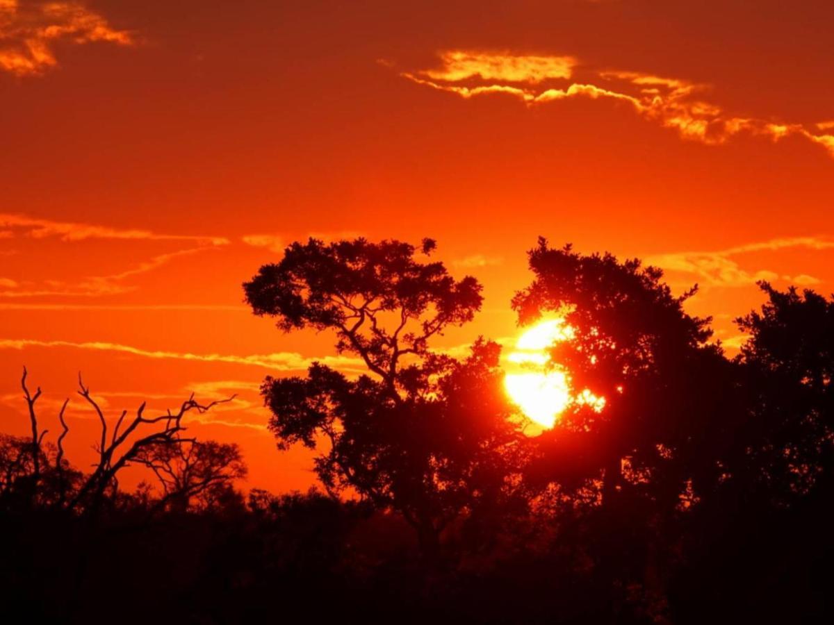 شقة Marloth Kruger View مارلوث بارك المظهر الخارجي الصورة