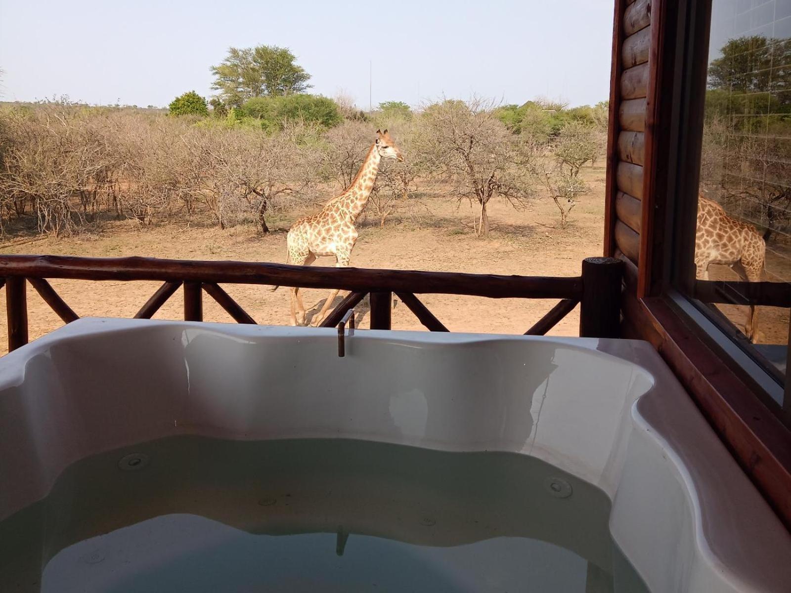 شقة Marloth Kruger View مارلوث بارك المظهر الخارجي الصورة